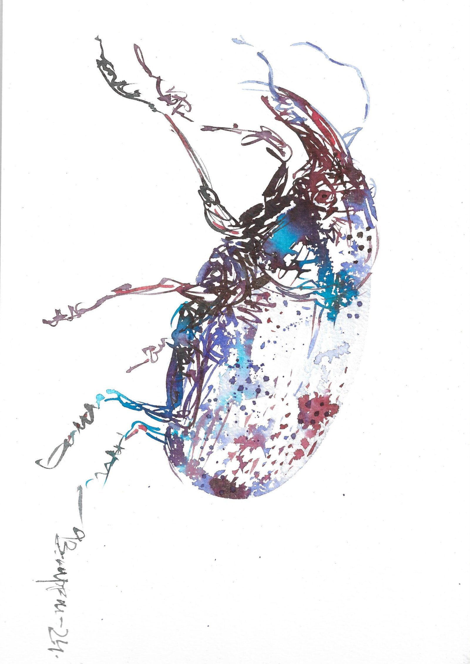 Insect – II