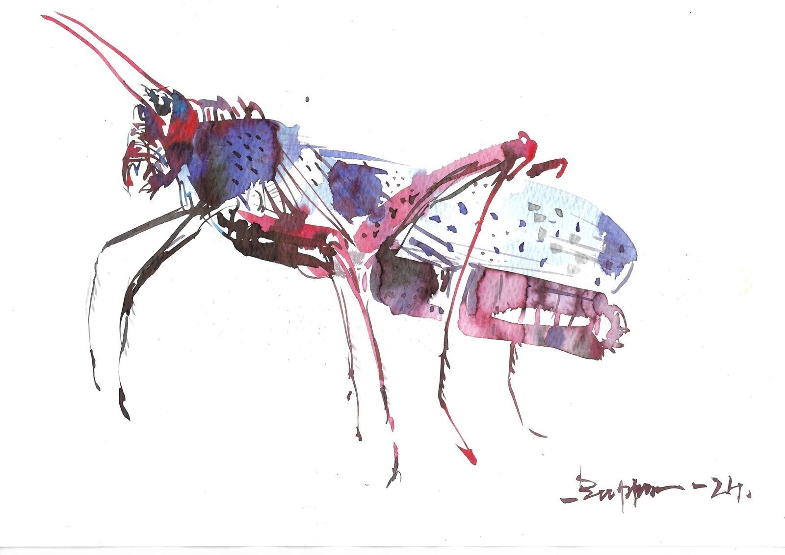 Insect – I