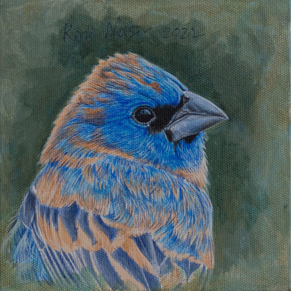 Bird -I