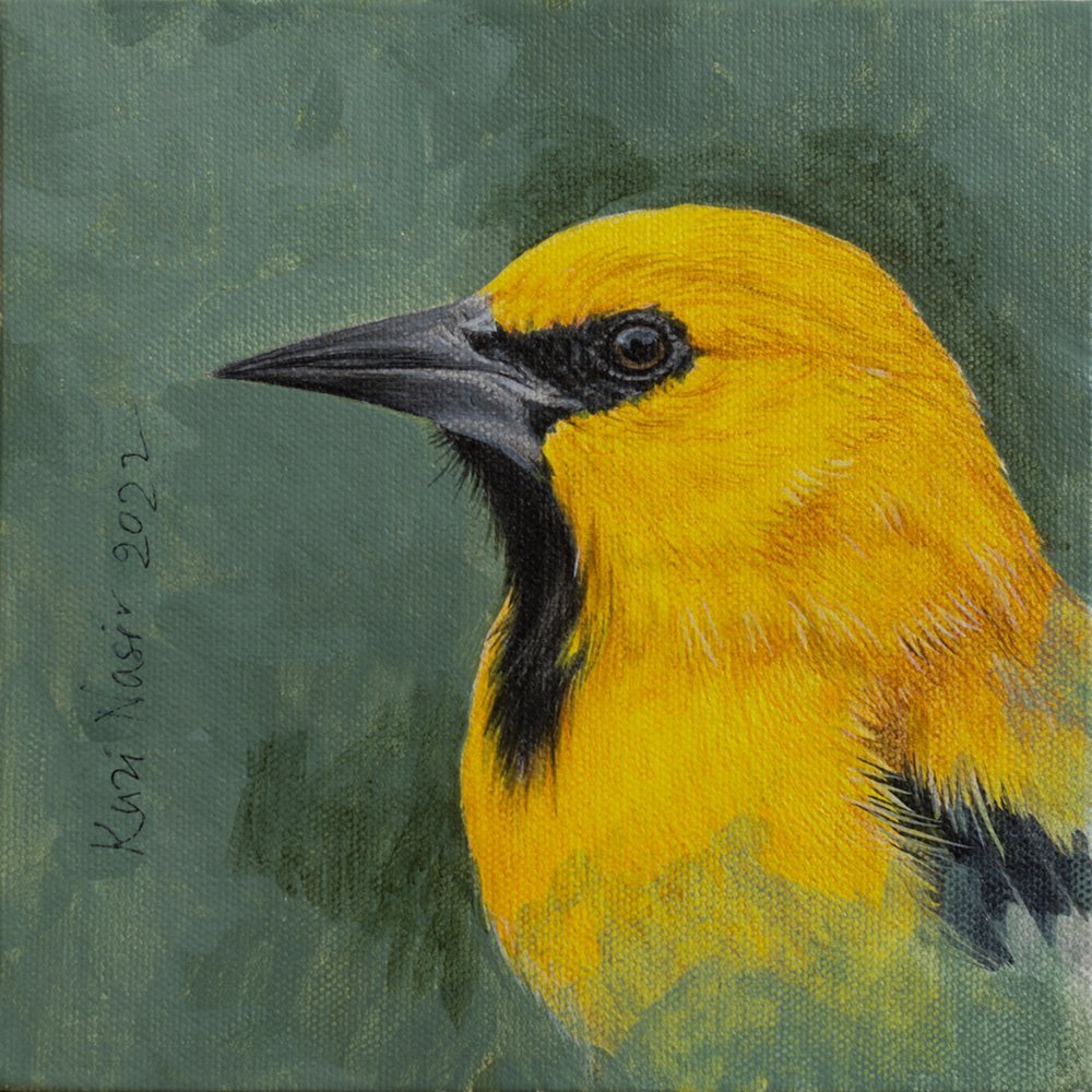 Bird – II