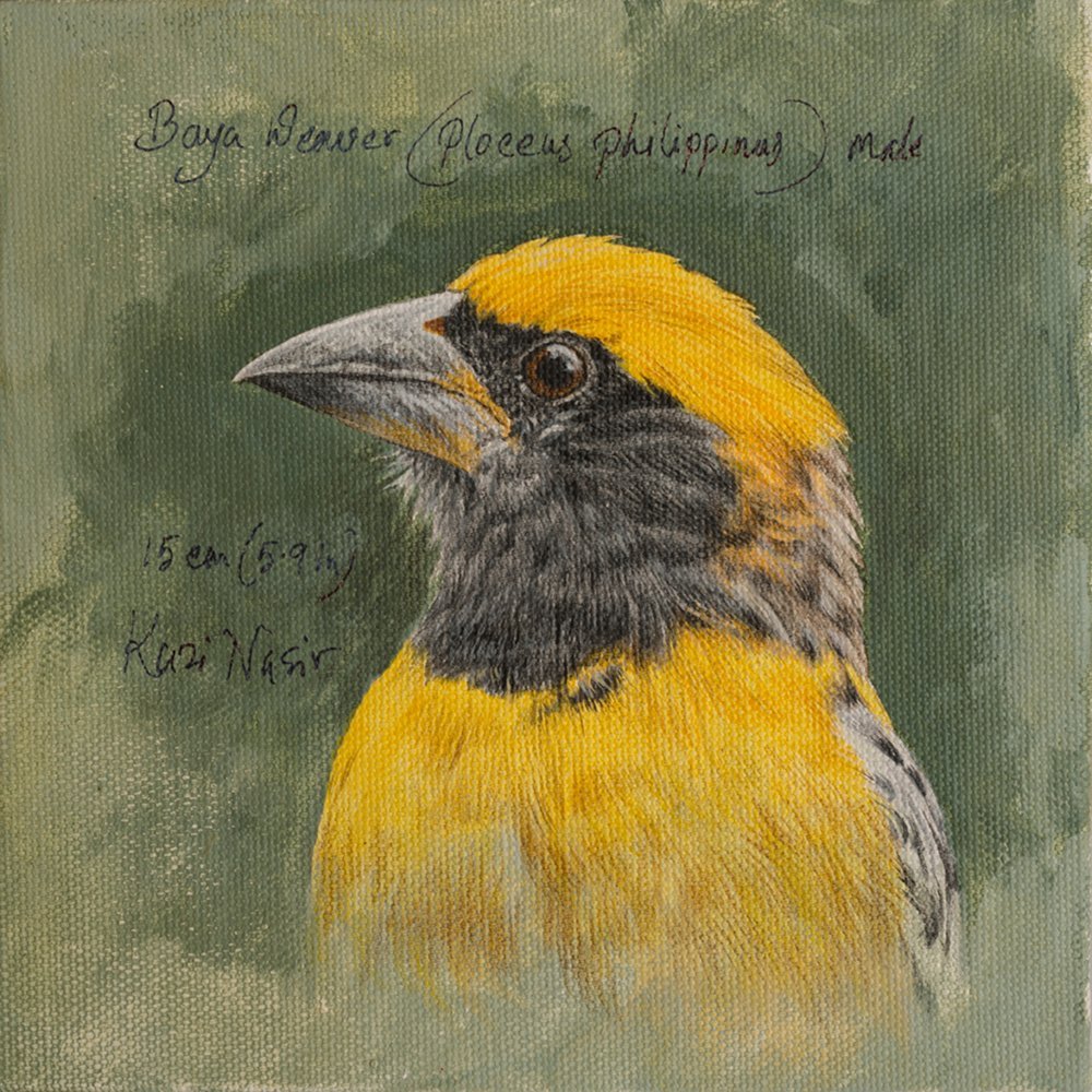 Bird – III