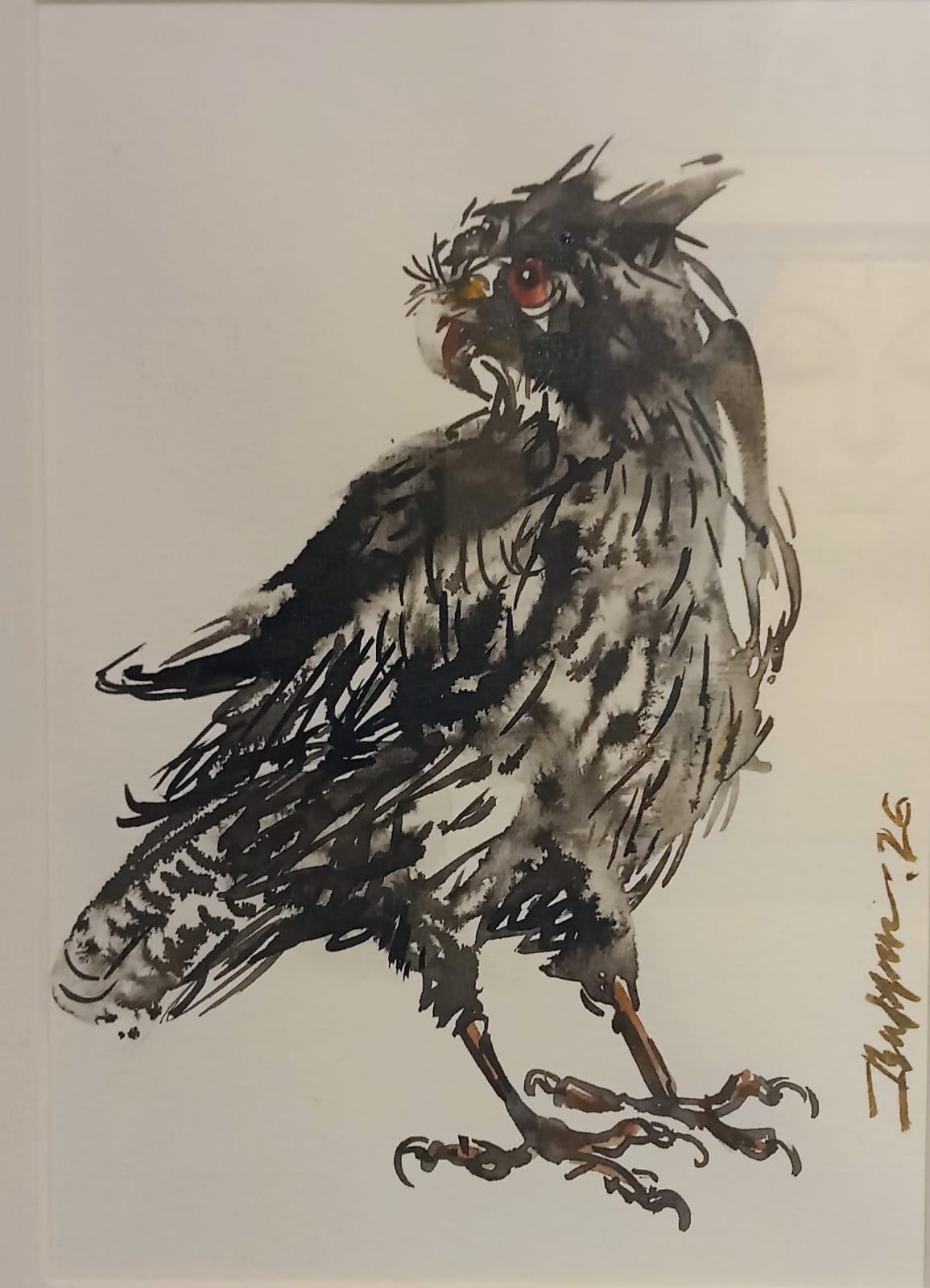 Owl